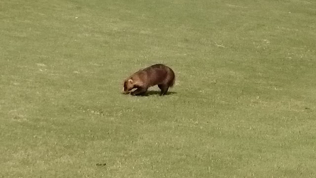 Iriki Joyama Golf Club - Photo 9