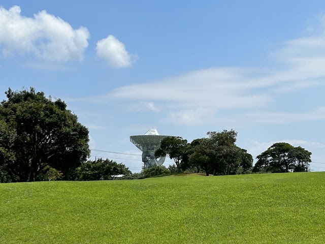 Iriki Joyama Golf Club - Photo 10