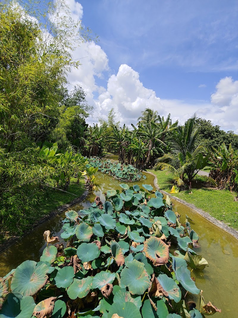 Fruit & Spice Park photo 2