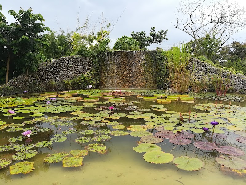 Fruit & Spice Park photo 2