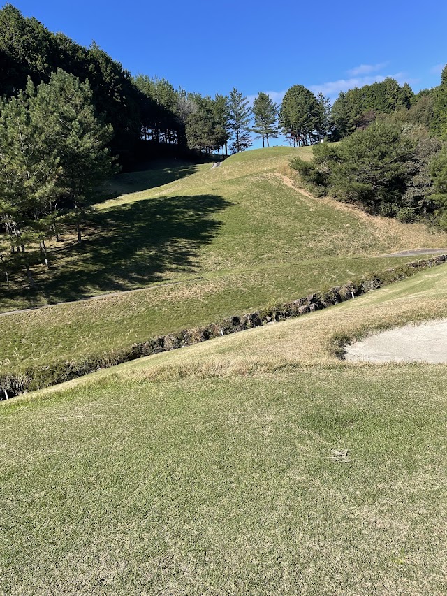 Akiba Golf Club - Photo 5