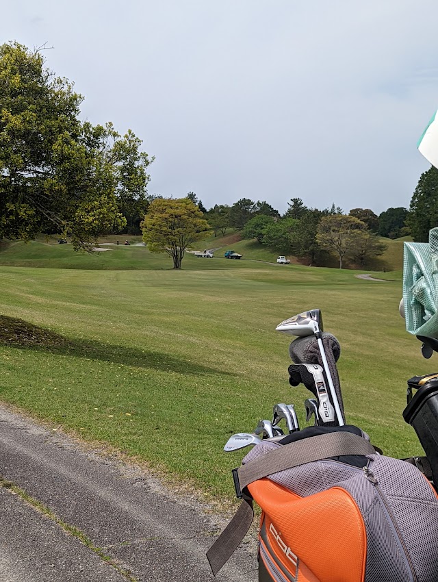 Akiba Golf Club - Photo 8