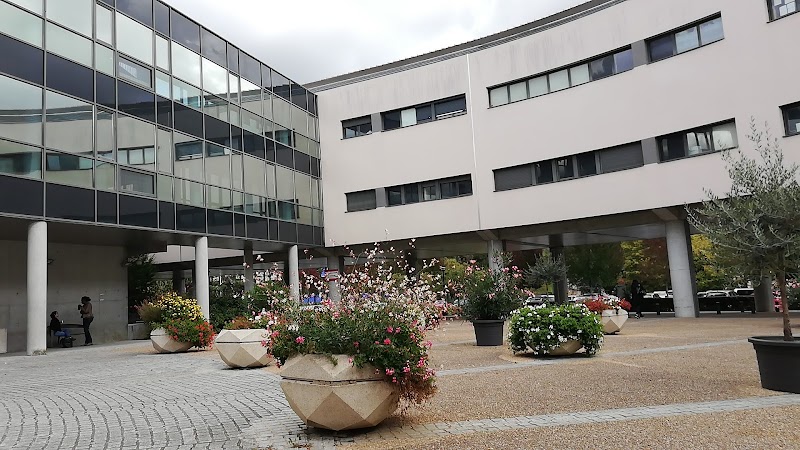 Centre Hospitalier Universitaire Dupuytren 1
