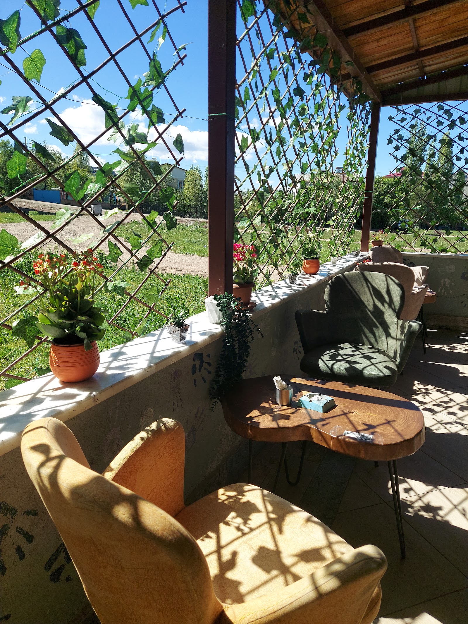 Çınar Cafe ve Restaurant mekanı