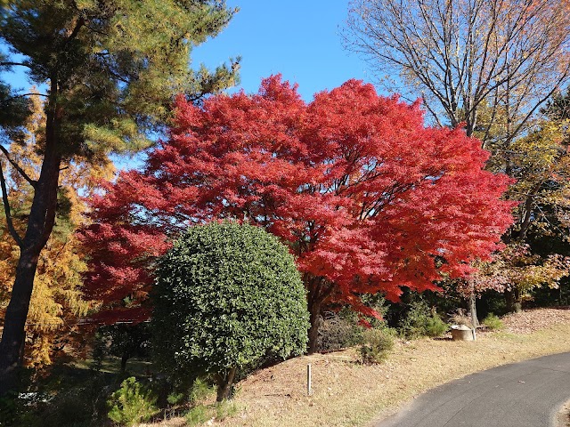 Fukuyama Country Club - Photo 3