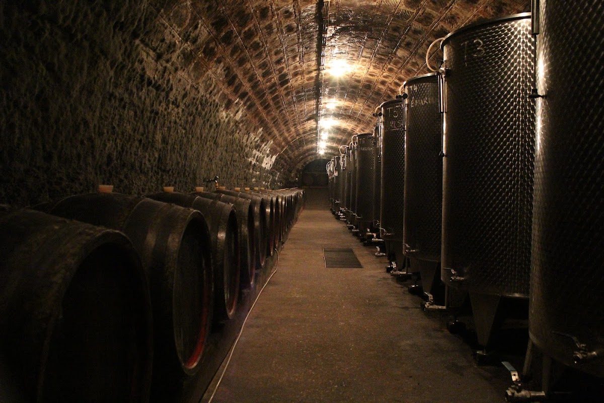 Benkő Cellar