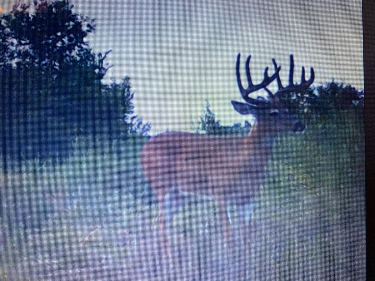 Elk River Outfitters
