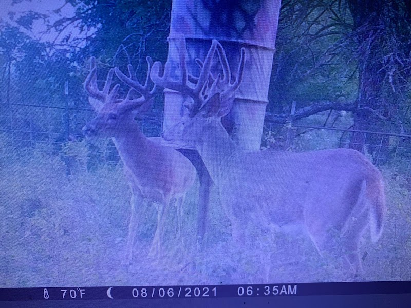 Elk River Outfitters - Photo 1