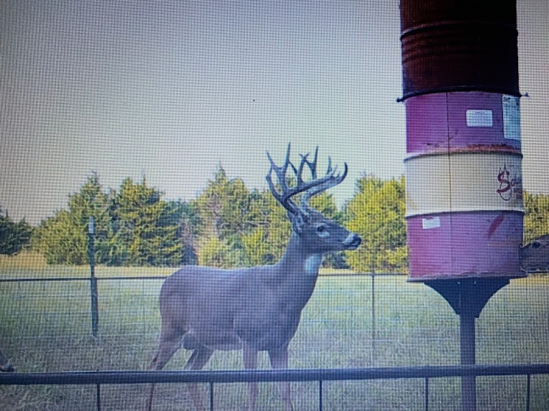 Elk River Outfitters - Photo 3