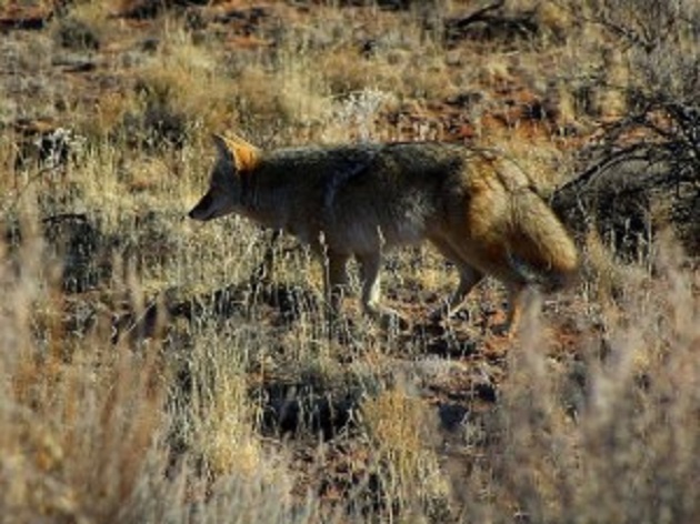Elk River Outfitters - Photo 4