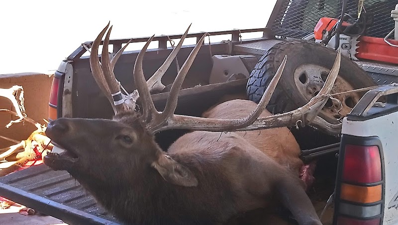 Mescalero Big Game Hunts photo