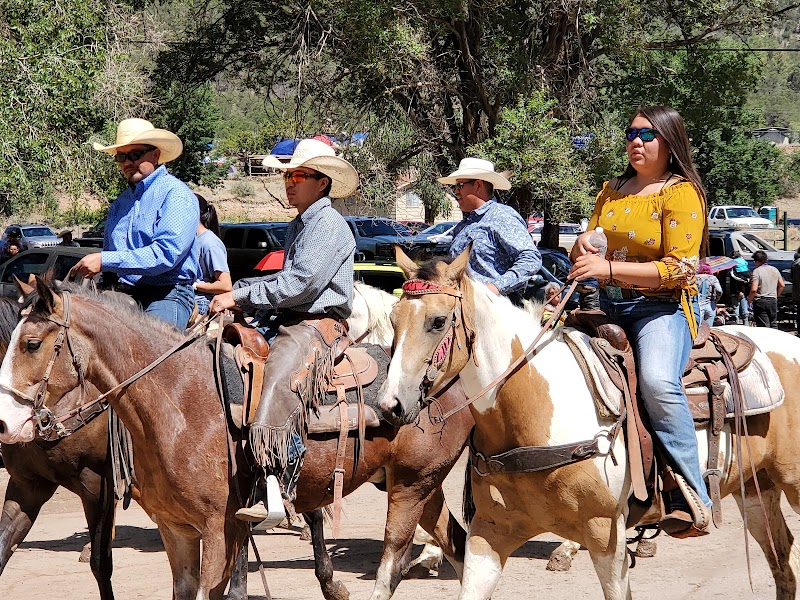 Mescalero Big Game Hunts - Photo 5