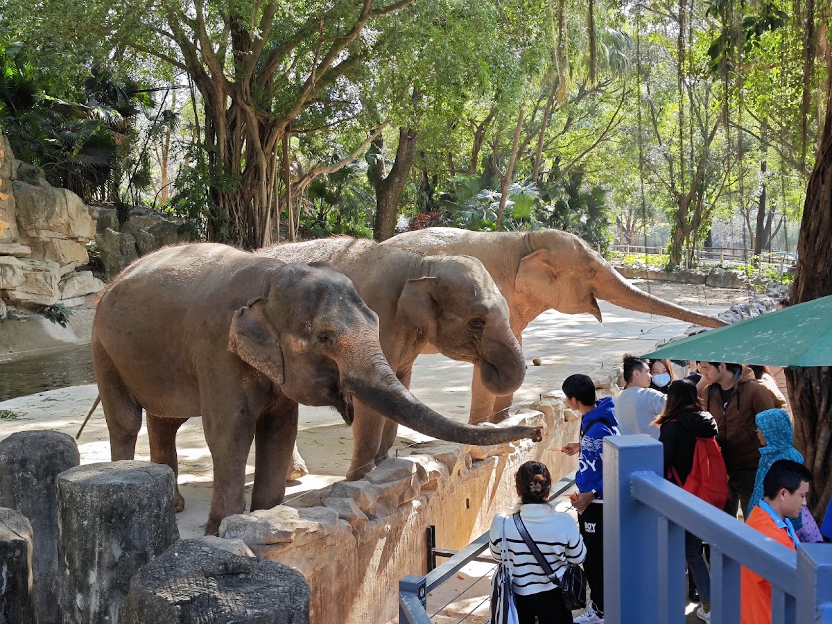 Shenzhen Wildlife Park