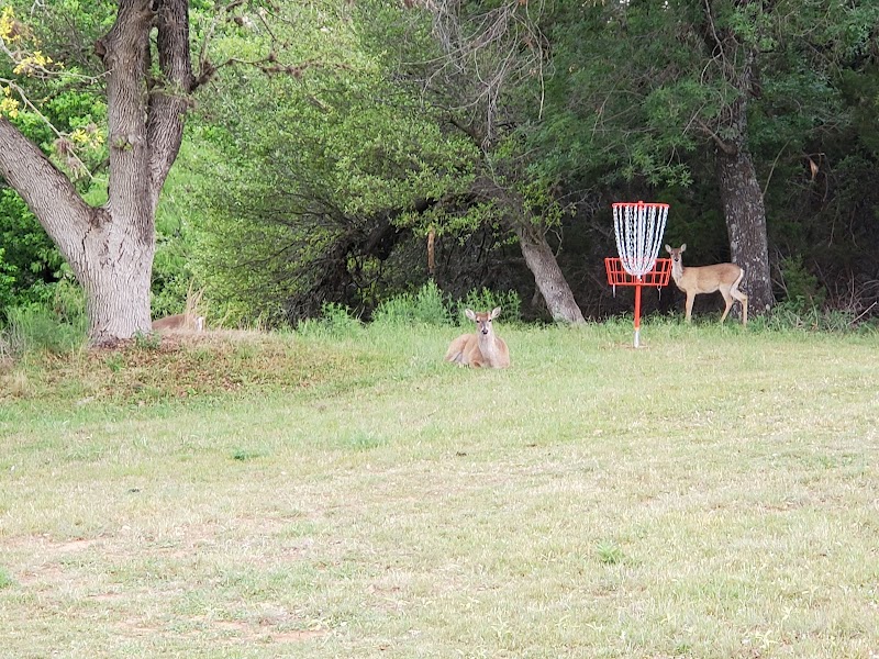 Lake Travis Disc Golf Destination photo 2