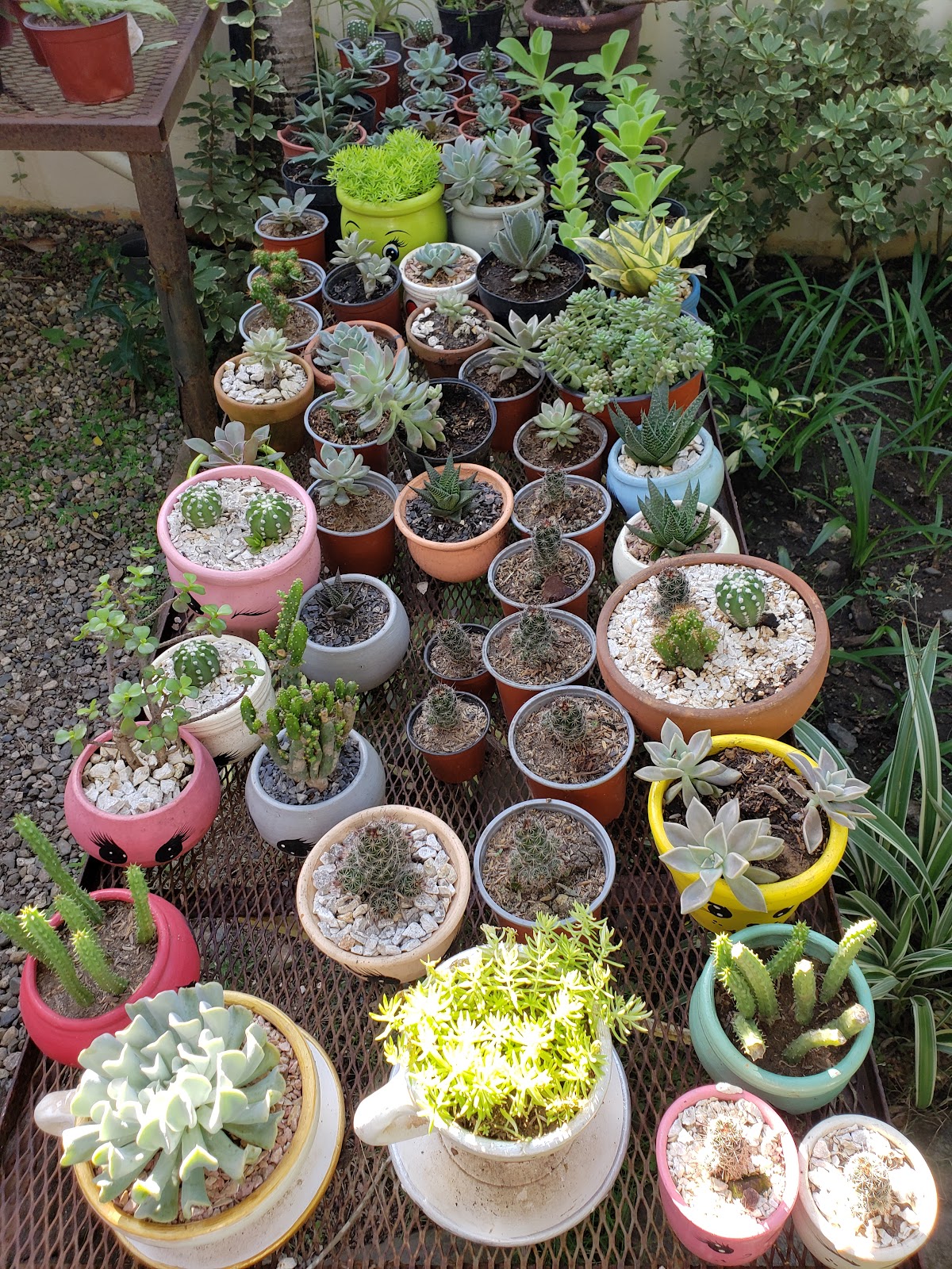 Rincón de las Flores - Imagen 1