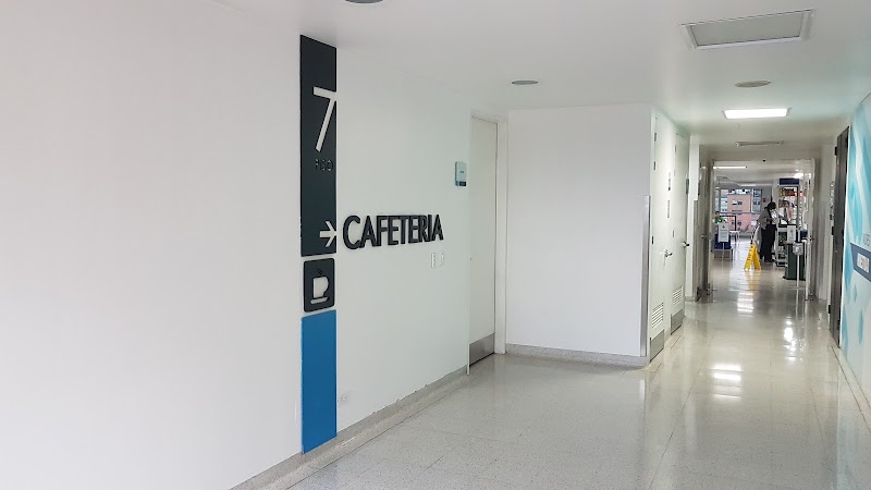 Gallery 5