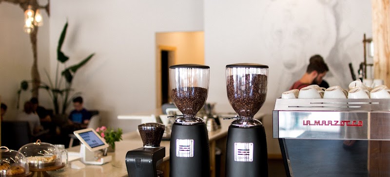 Silver Grizzly Espresso photo 2