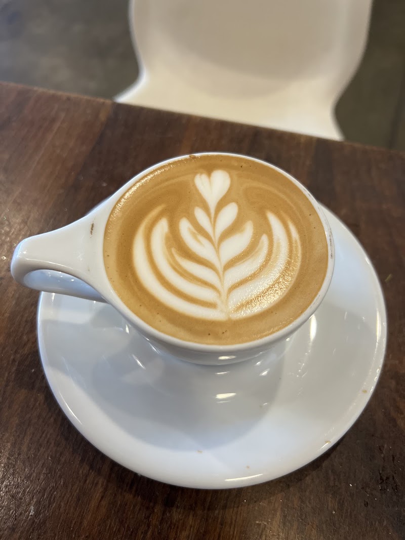 Silver Grizzly Espresso photo 4