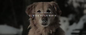 Clínica Veterinaria San Froilan