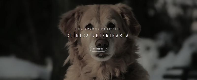 Clínica Veterinaria San Froilan