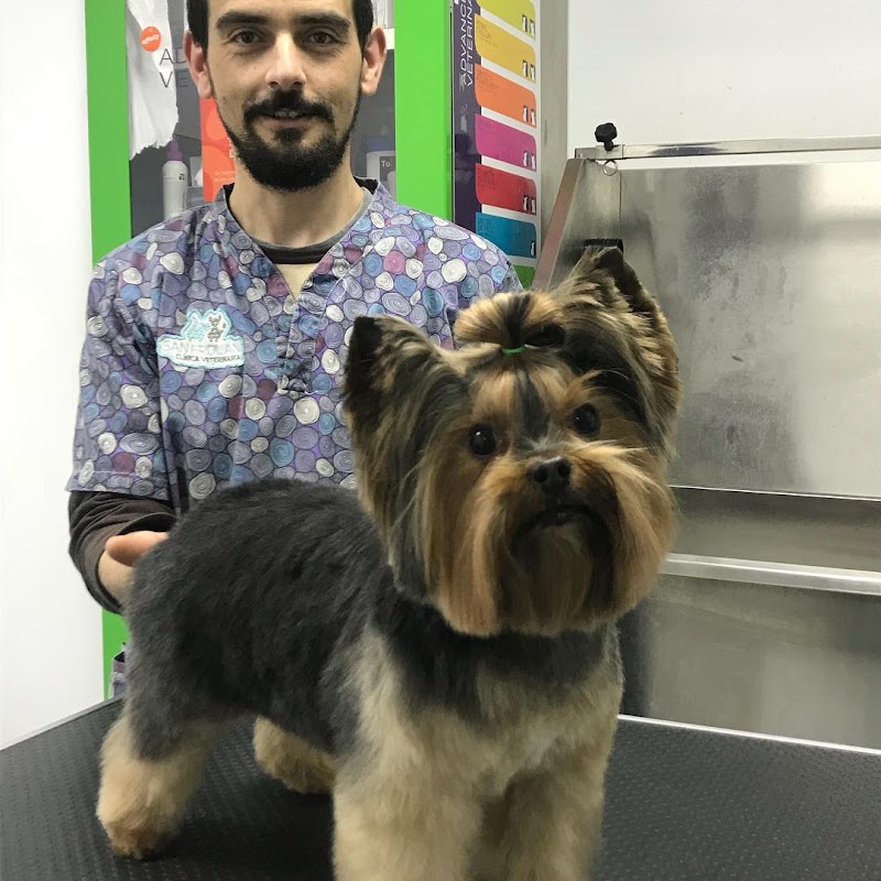 Clínica Veterinaria San Froilan photo 3