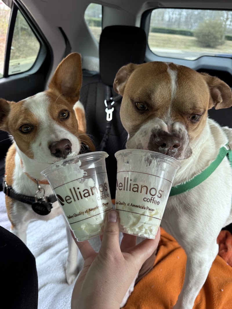 Ellianos Coffee photo 4