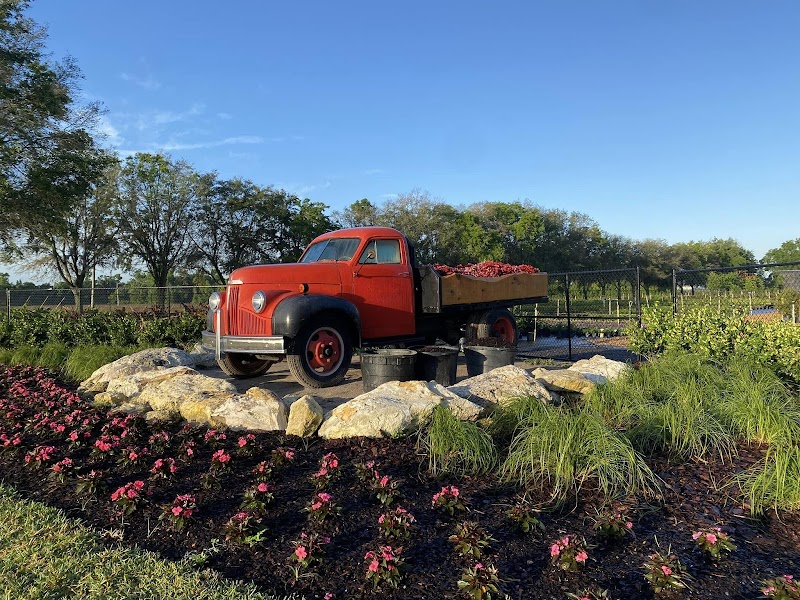 Handcart Garden Center photo 4