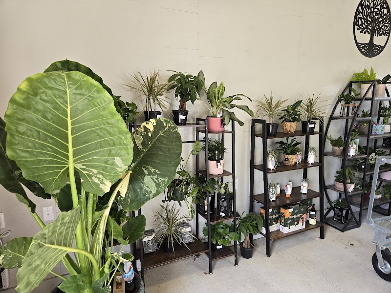 Handcart Garden Center photo 4