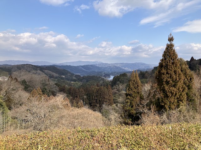 Nara Mori Golf Club - Photo 8