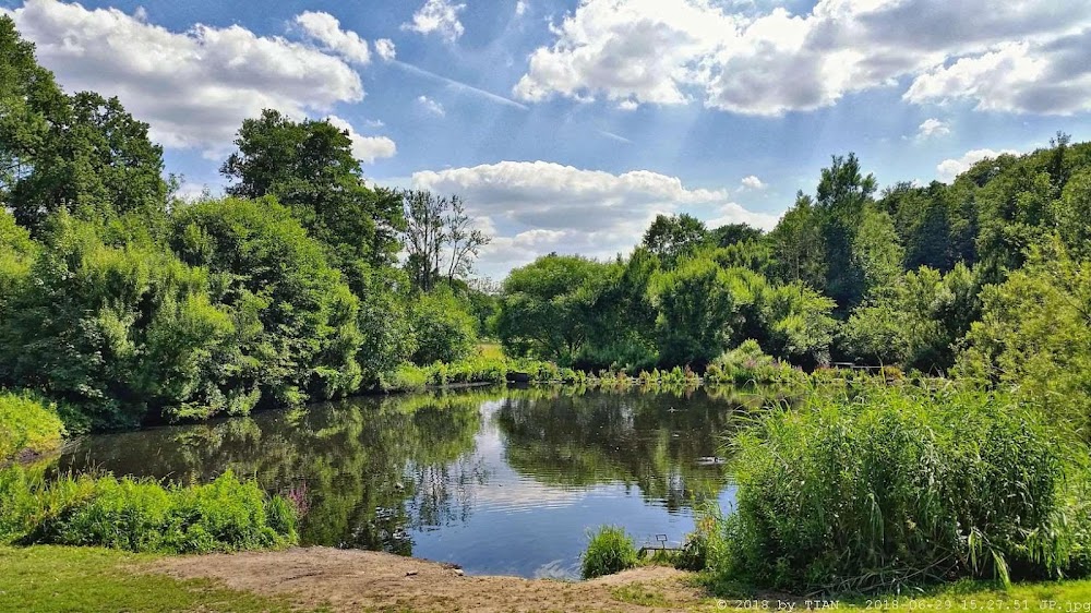 Jenischpark fotoğraf 1