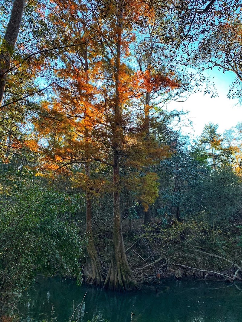 Little River Bluffs - A Nature Preserve & Retreat - Photo 4