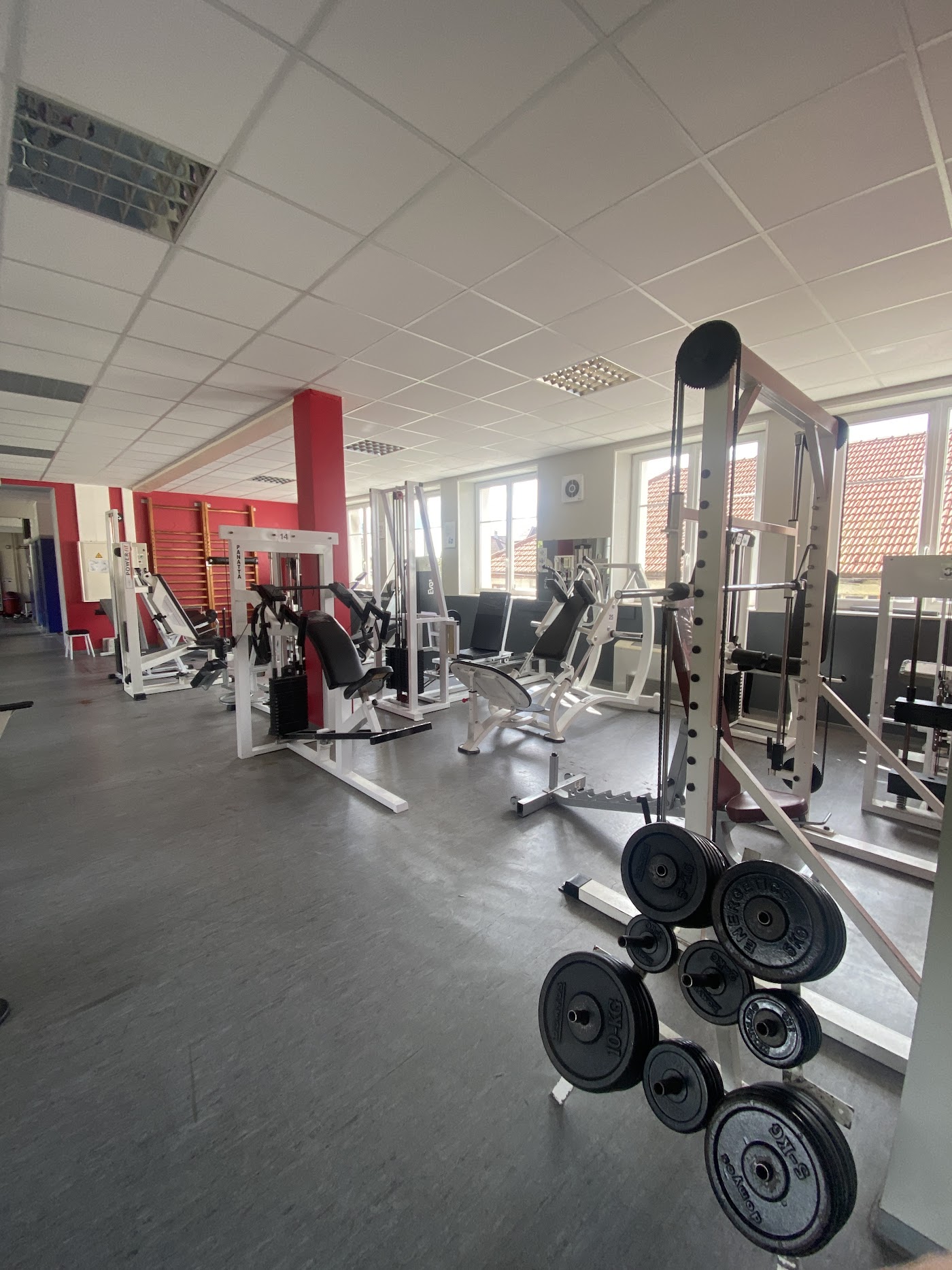 powerfit damprichard