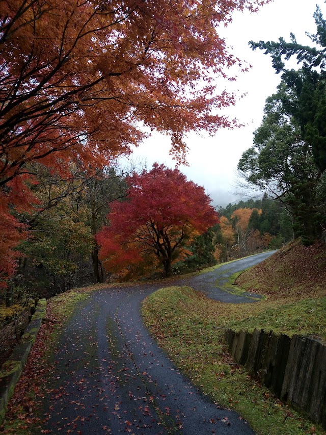 Kuchiki Golf Club - Photo 7