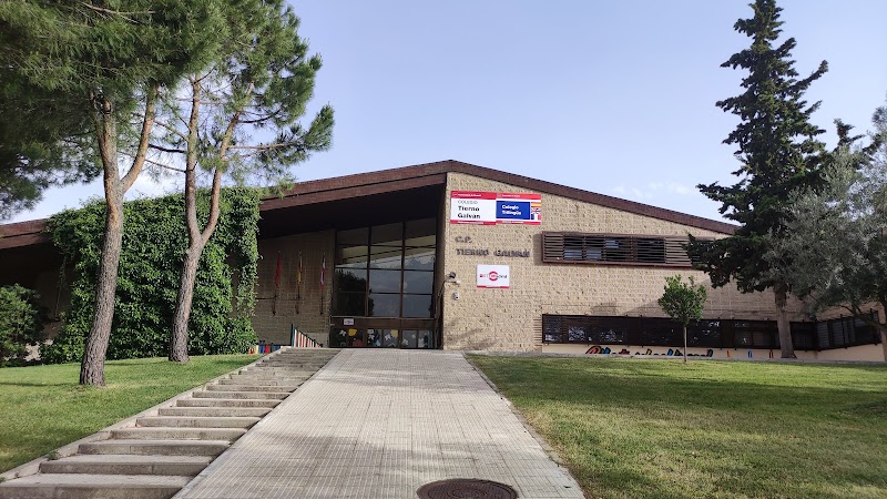 Public School Tierno Galván