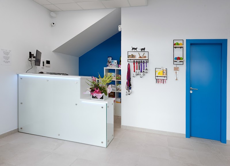 Centro Veterinario Esteiro photo 2