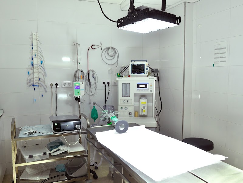 Centro Veterinario Esteiro photo 4