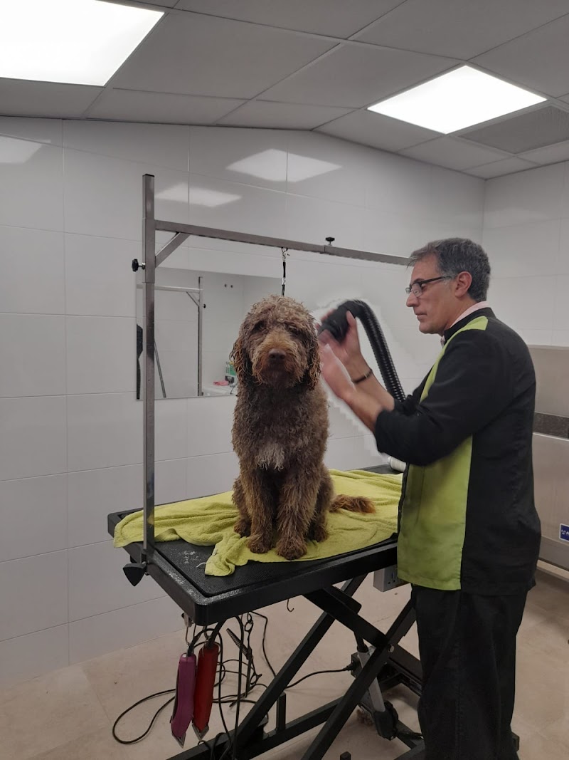 Centro Veterinario Esteiro photo 5