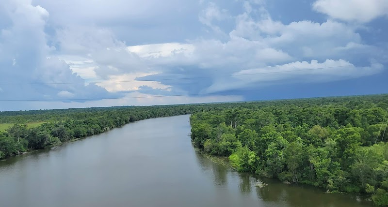 Pearl River Wildlife Management Area - Photo 2