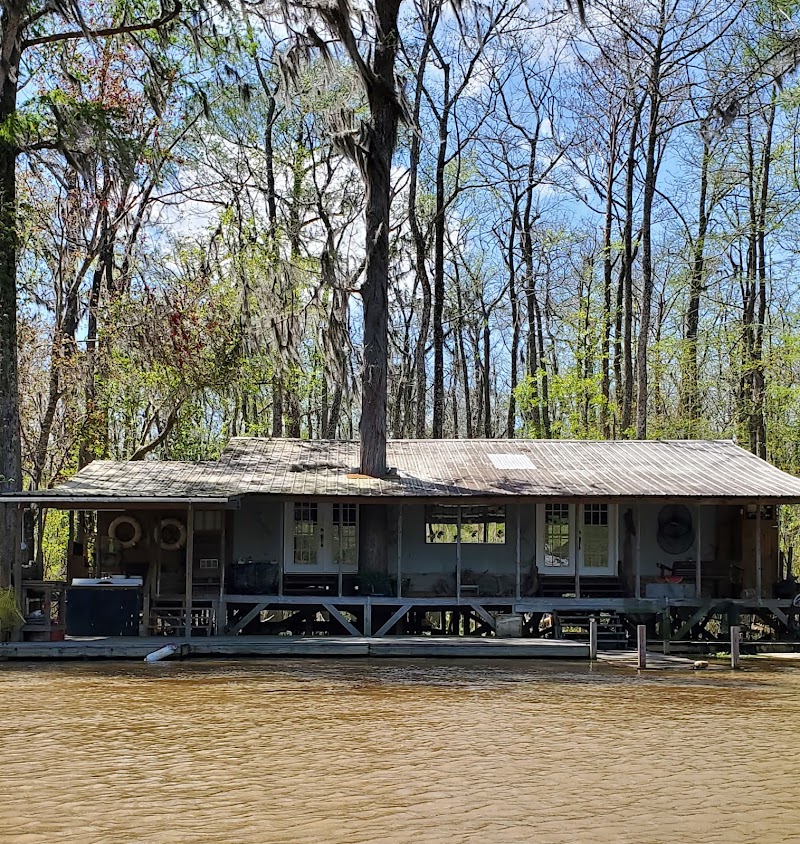 Pearl River Wildlife Management Area - Photo 5