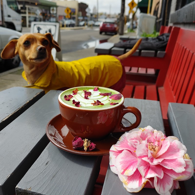 Common Grounds Coffeehouse photo 2