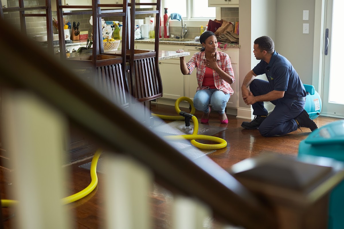 ServiceMaster Restoration by Royalty — photo