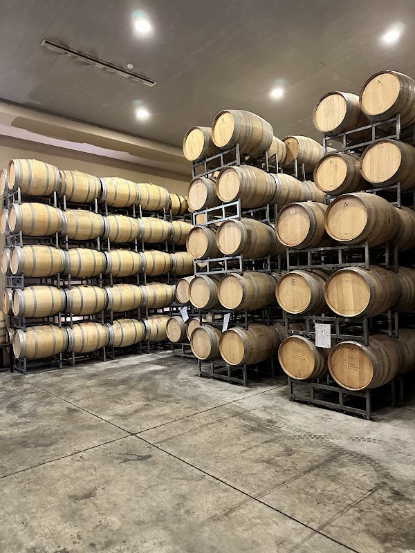 Casarena Bodega y Viñedos