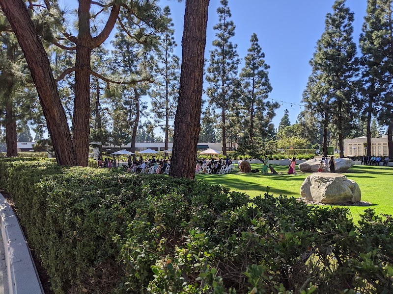 The Turnip Rose Promenade.