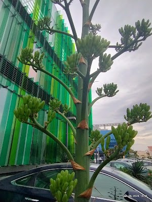 عيادة بيطرية