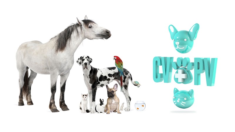 Clínica Veterinaria Puerto Venecia (CVPV)