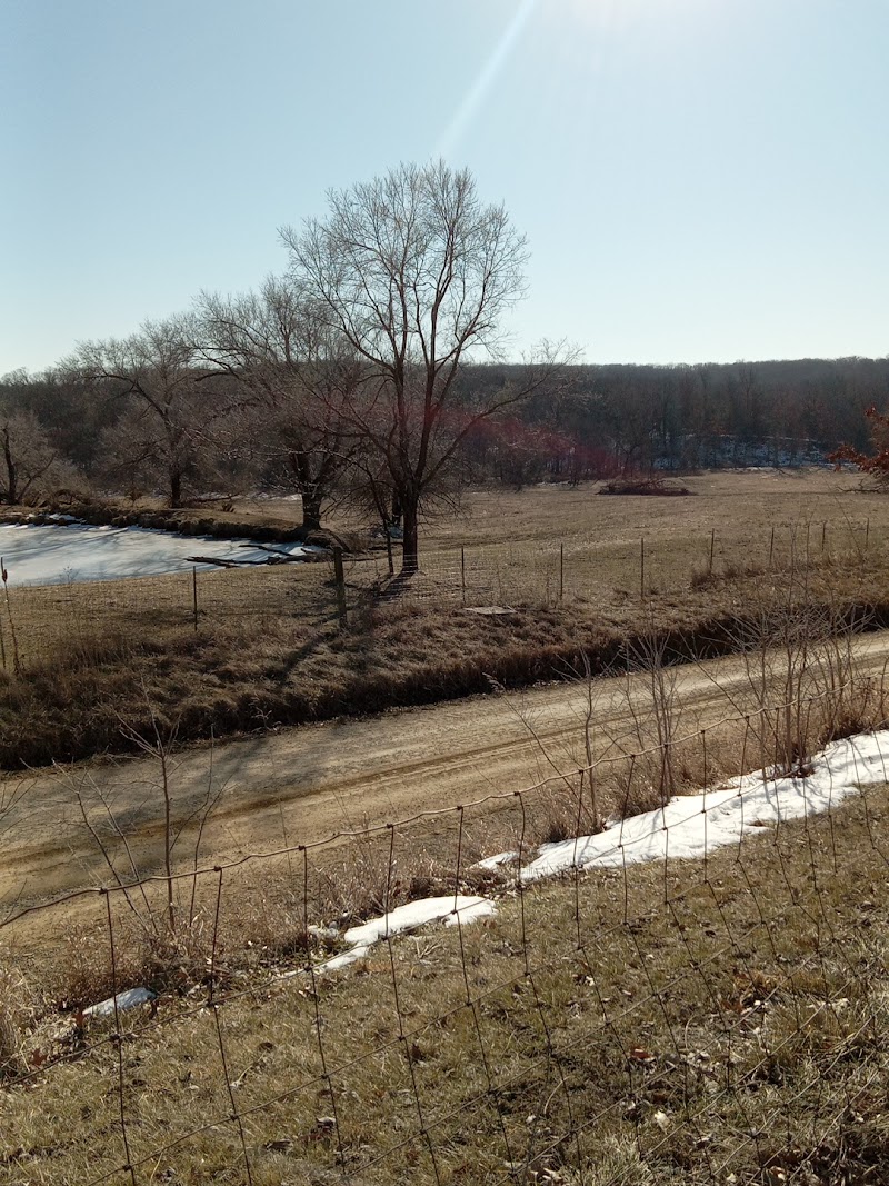 Middle of Nowhere Ranch - Photo 3