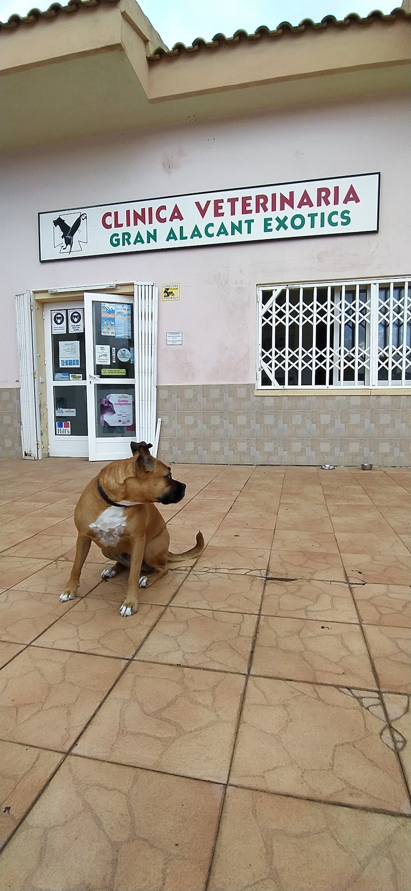 Clínica Veterinaria Gran Alacant Exotics