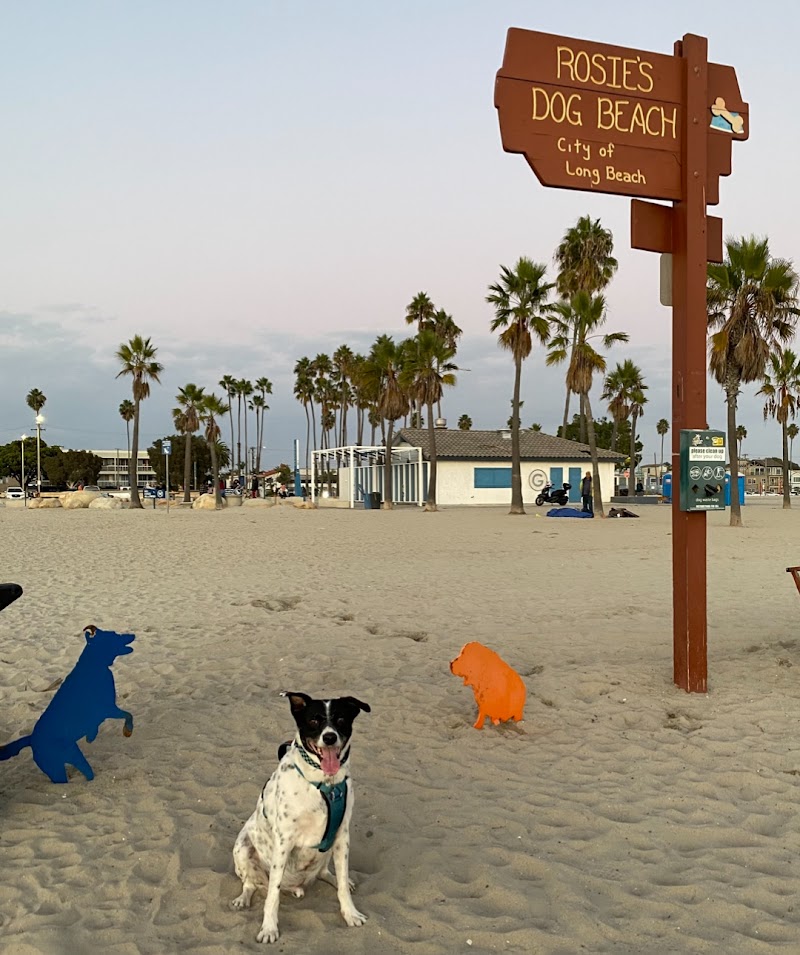 Rosie's Dog Beach in Huntington Beach
