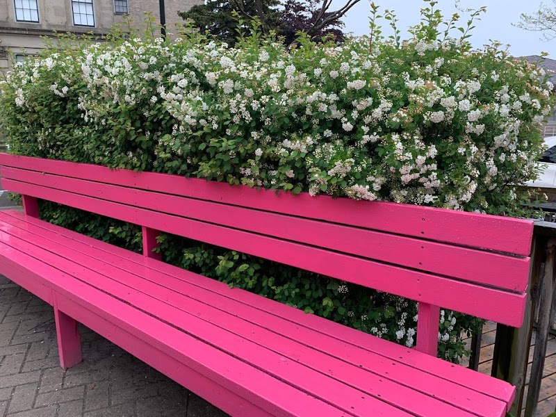 The Pink Cafe photo 4