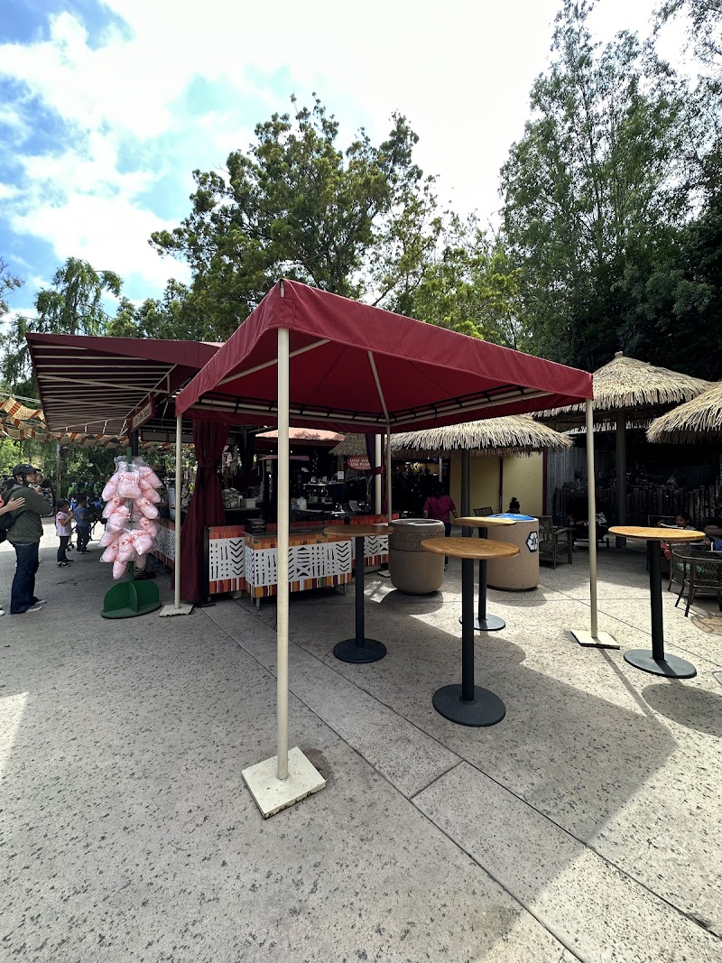 Safari Coffee Outpost photo 1